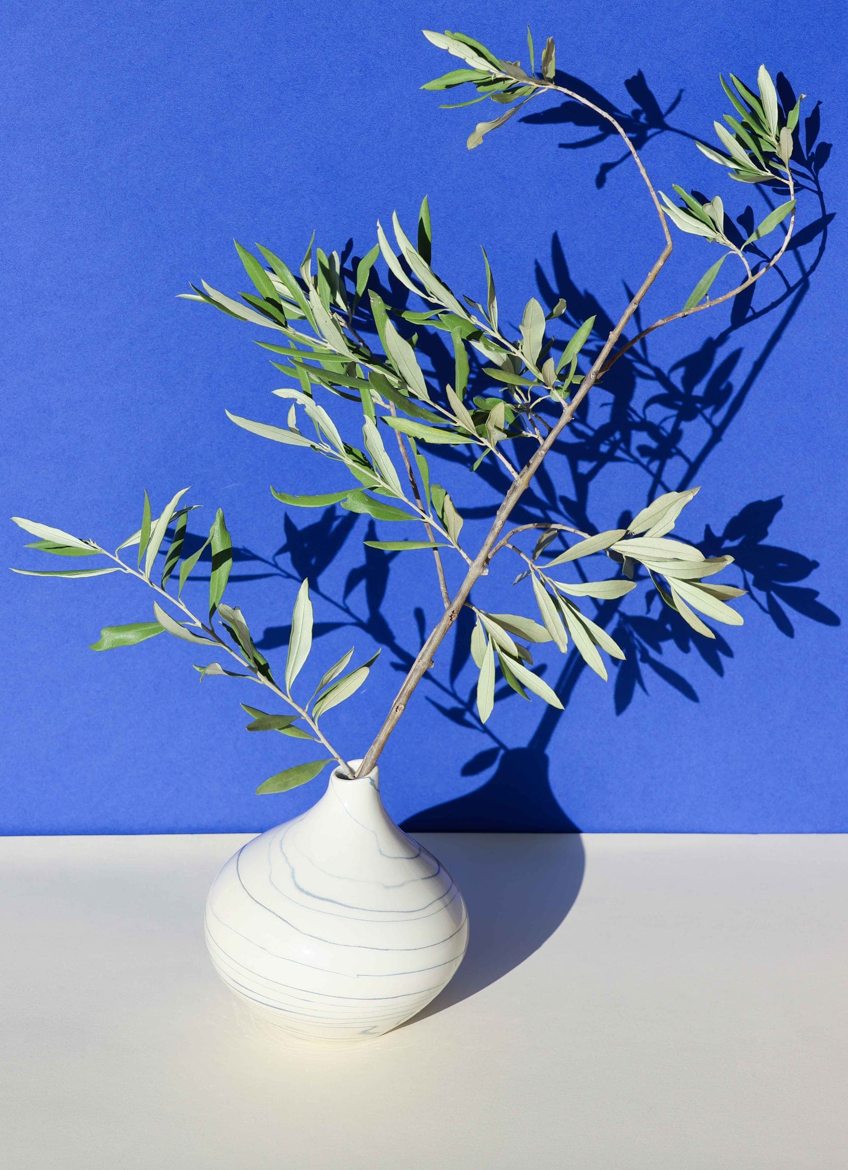 Soliflore — H 14cm x D 14 cm - vue 2