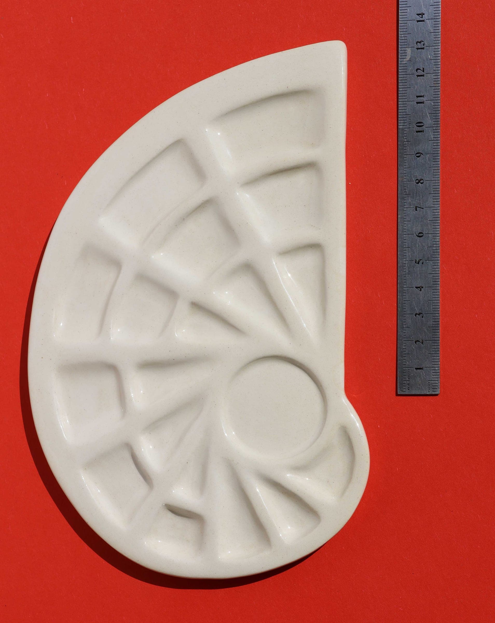 Nautilus — 20 cm x 14 cm x 19 cases - vue 5